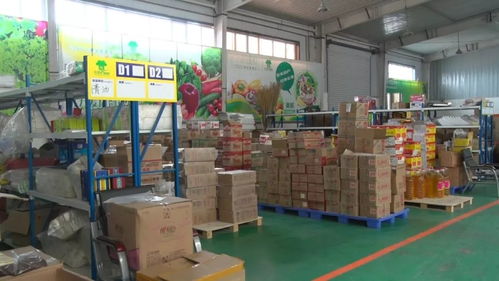 奇臺縣政協(xié)視察電子商務(wù)工作，推動(dòng)服務(wù)升級賦能縣域發(fā)展